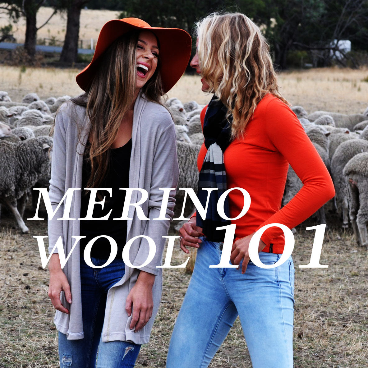 Merino Wool - 10 fantastic benefits that make you love it!