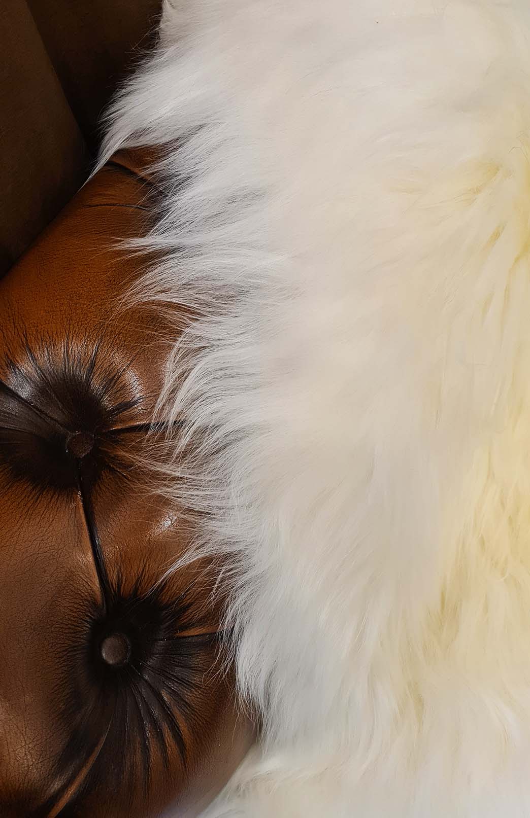 Natural Natural Australian / New Zealand Sheepskin Rug
